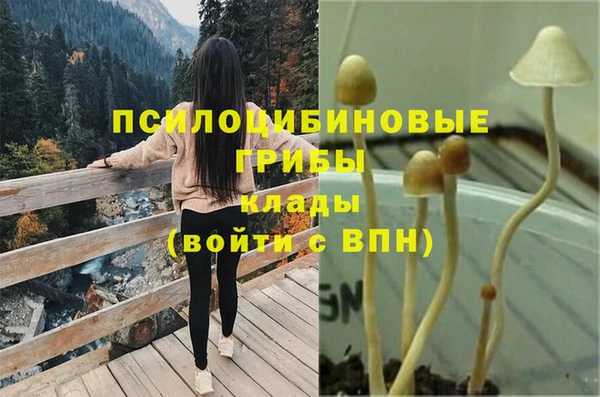 PSILOCYBIN Михайлов