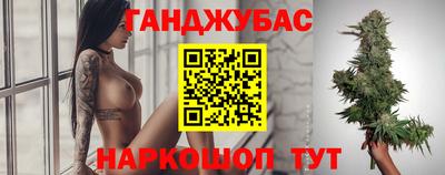индика Бийск