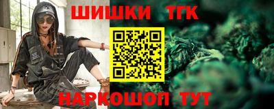 индика Бийск