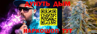 индика Бийск