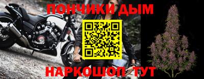 индика Бийск