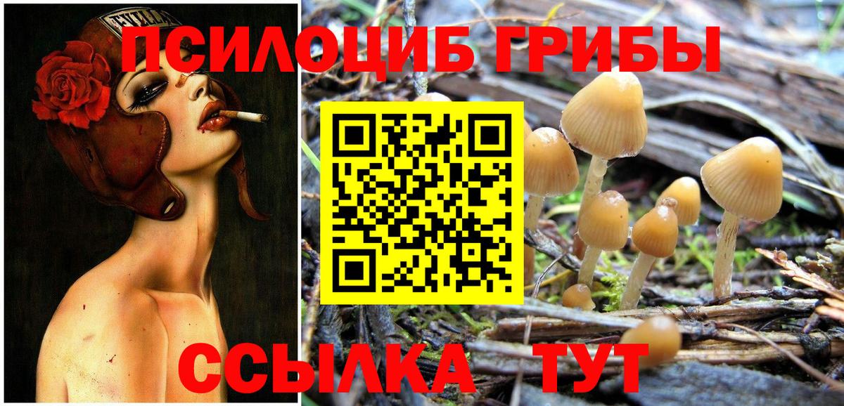 Семилуки  Псилоцибиновые грибы мицелий  Вход с VPN 